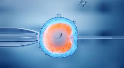 马来西亚试管婴儿医院费用对比：选择哪家更划算？