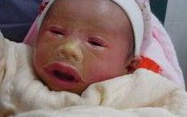 香港养和医院试管婴儿技术怎么样成功率高吗