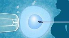 试管期间为什么要多次做B超？