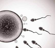 2026海南人工授精医院排名，哪家好看完心里有数