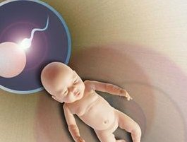 北京治疗弱精症哪家医院好？北京私立医院二代试管好不好？