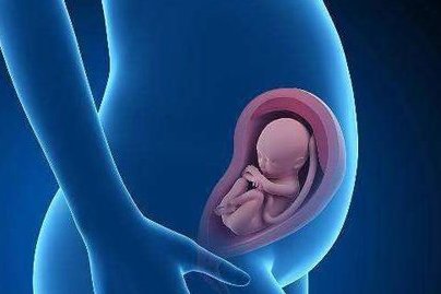 试管婴儿胚胎移植前需要憋尿吗